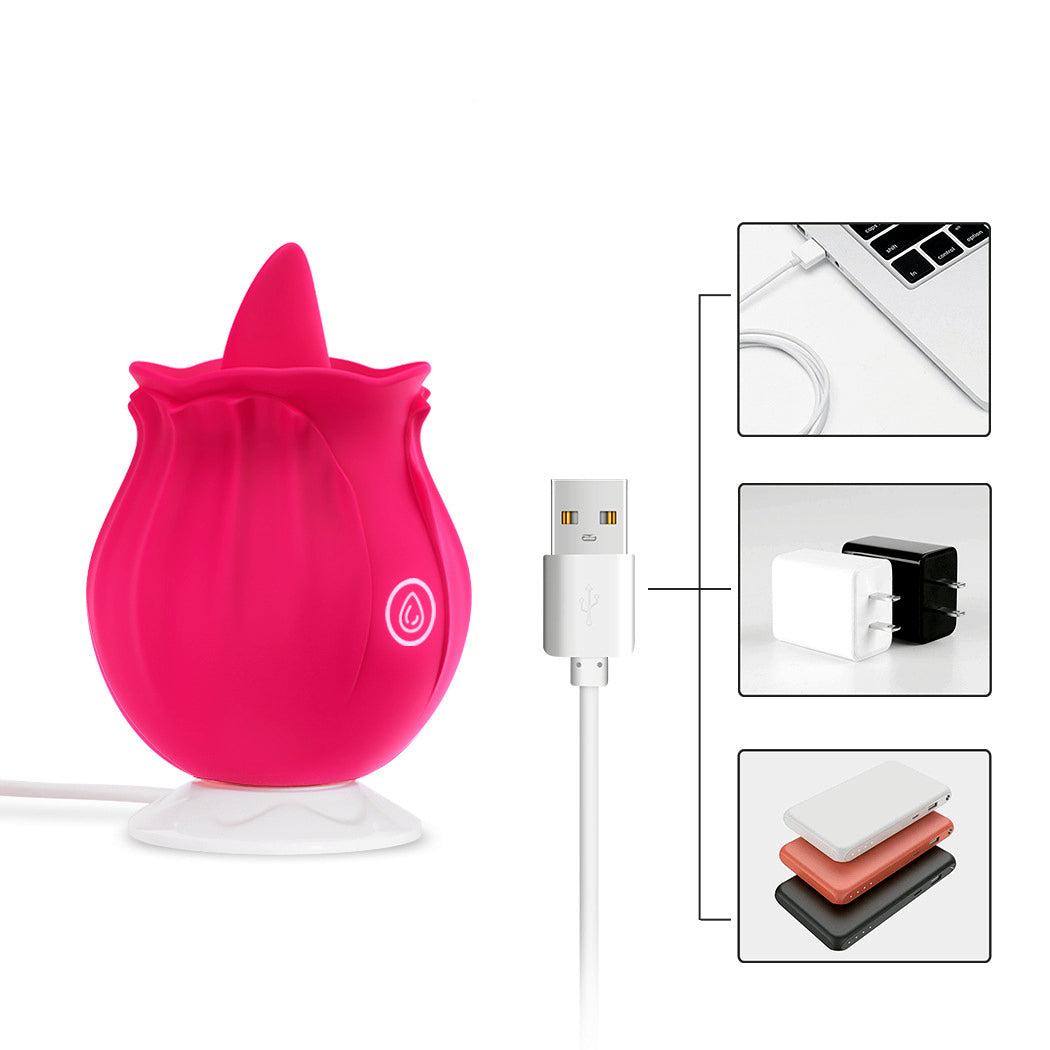 Rose Toys for Woman Pleasure Toy, Washable Waterproof 10 Modes