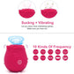 Rose Toys for Woman Pleasure Toy, Washable Waterproof 10 Modes