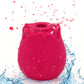 Rose Toys for Woman Pleasure Toy, Washable Waterproof 10 Modes